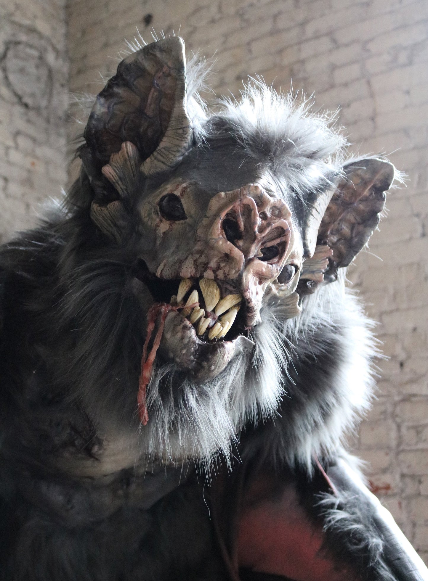 Vampire Bat