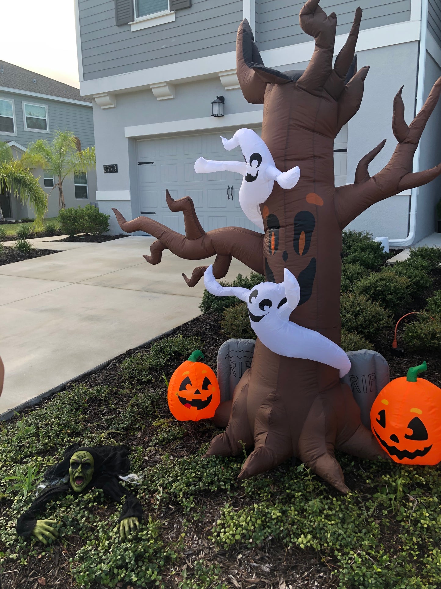 Scary Tree with A Ghost Through