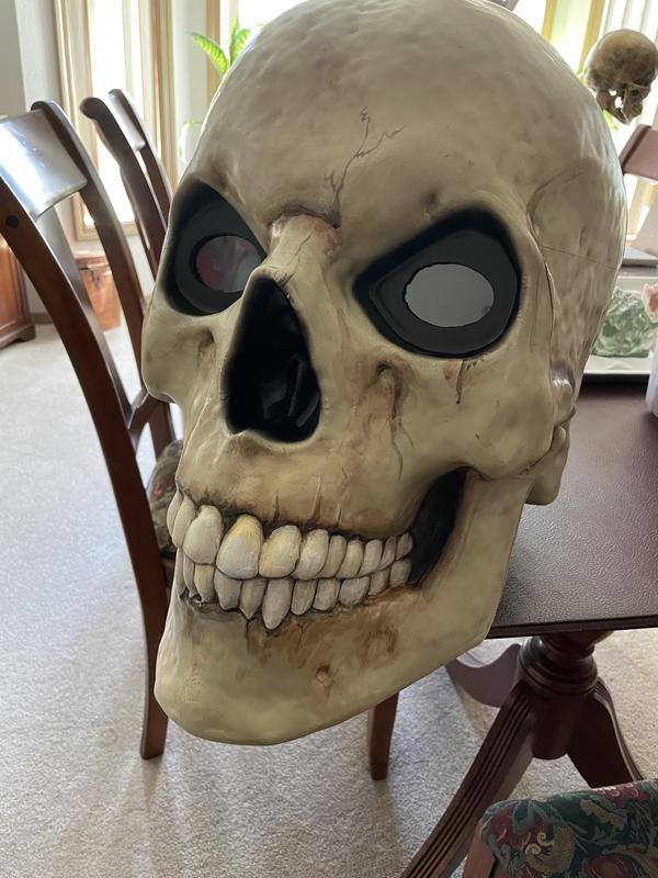 Giant-Sized Skeleton with LifeEyes LCD Eyes