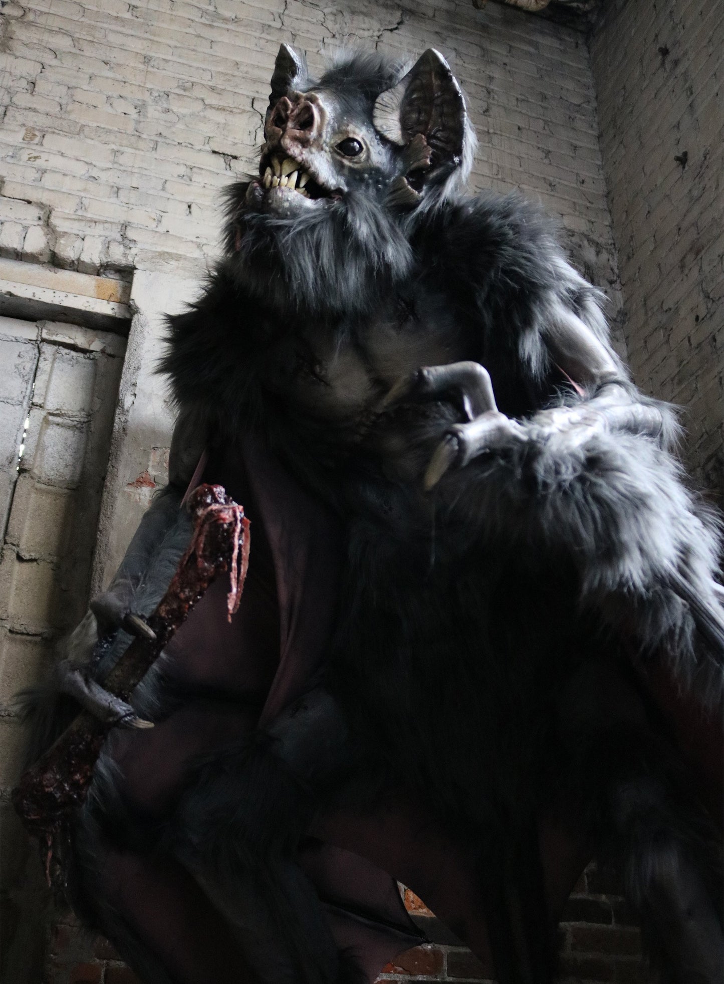 Vampire Bat