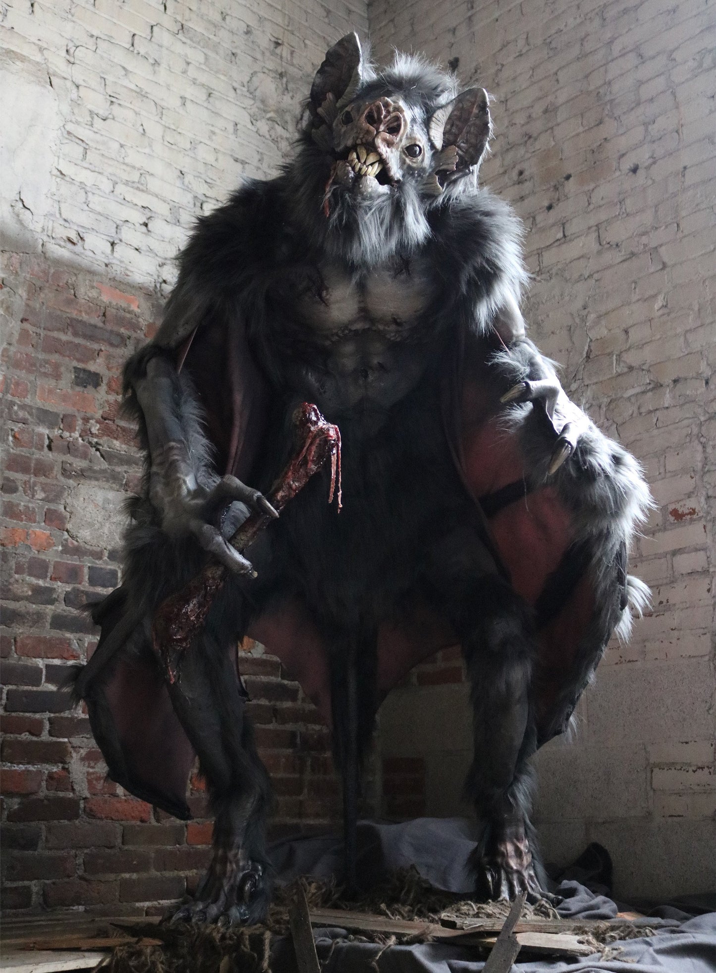 Vampire Bat