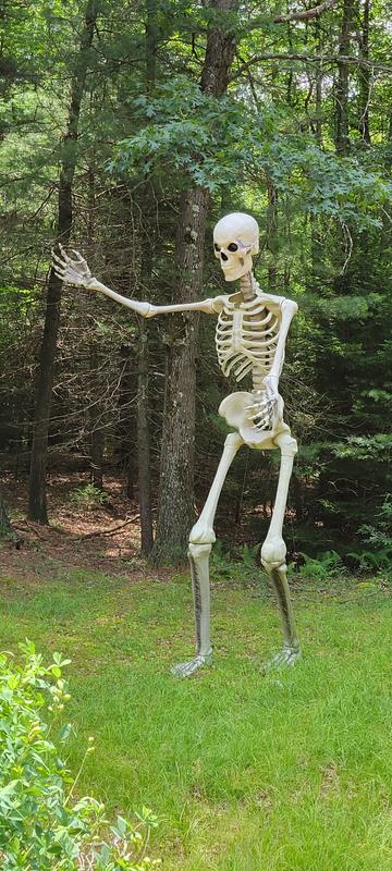 Giant-Sized Skeleton with LifeEyes LCD Eyes
