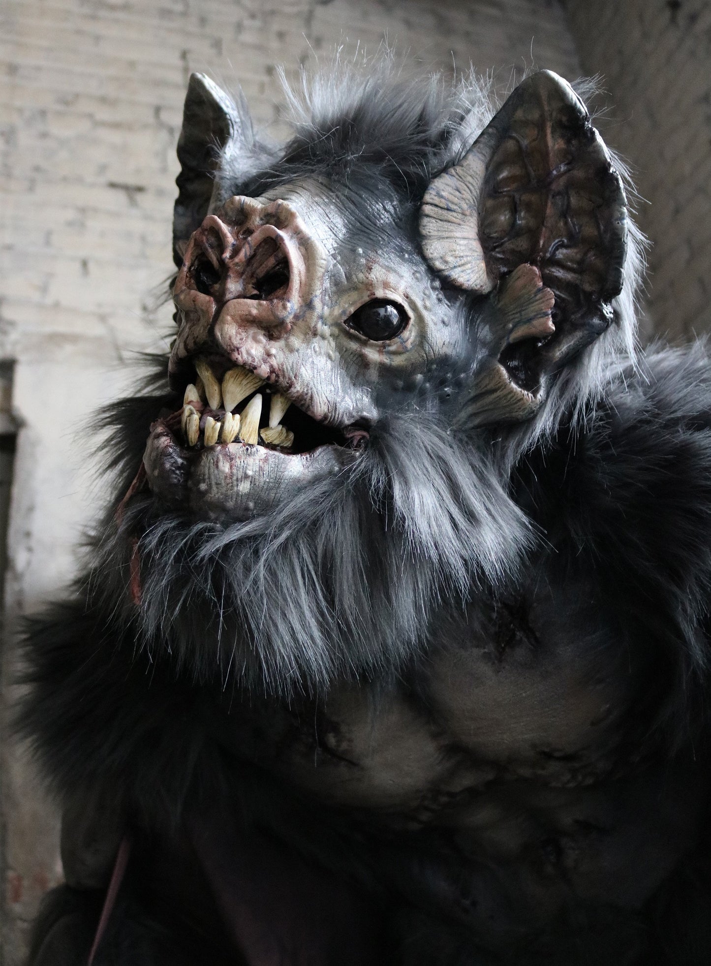Vampire Bat