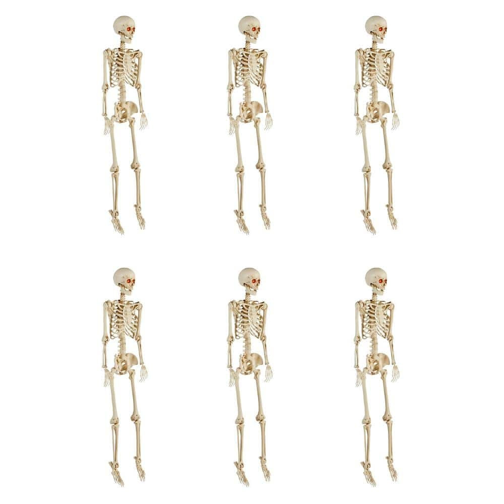 Poseable Pitted Skeleton with LED Eyes (6-Pack)