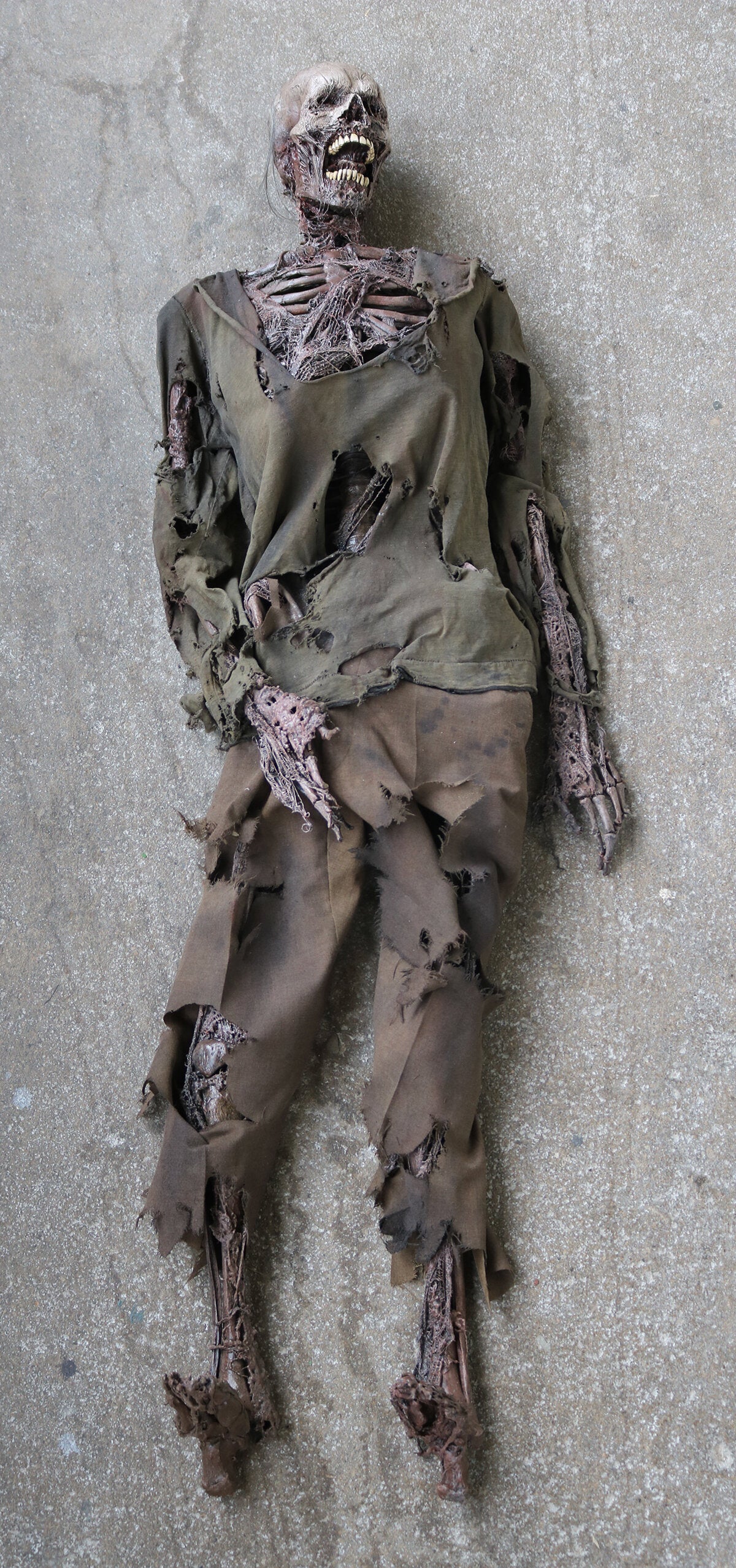 Aged Skeleton