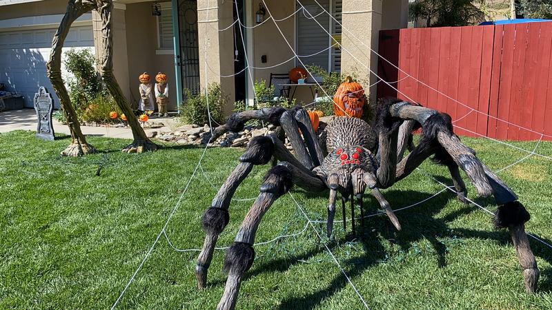 Giant-Sized Spider