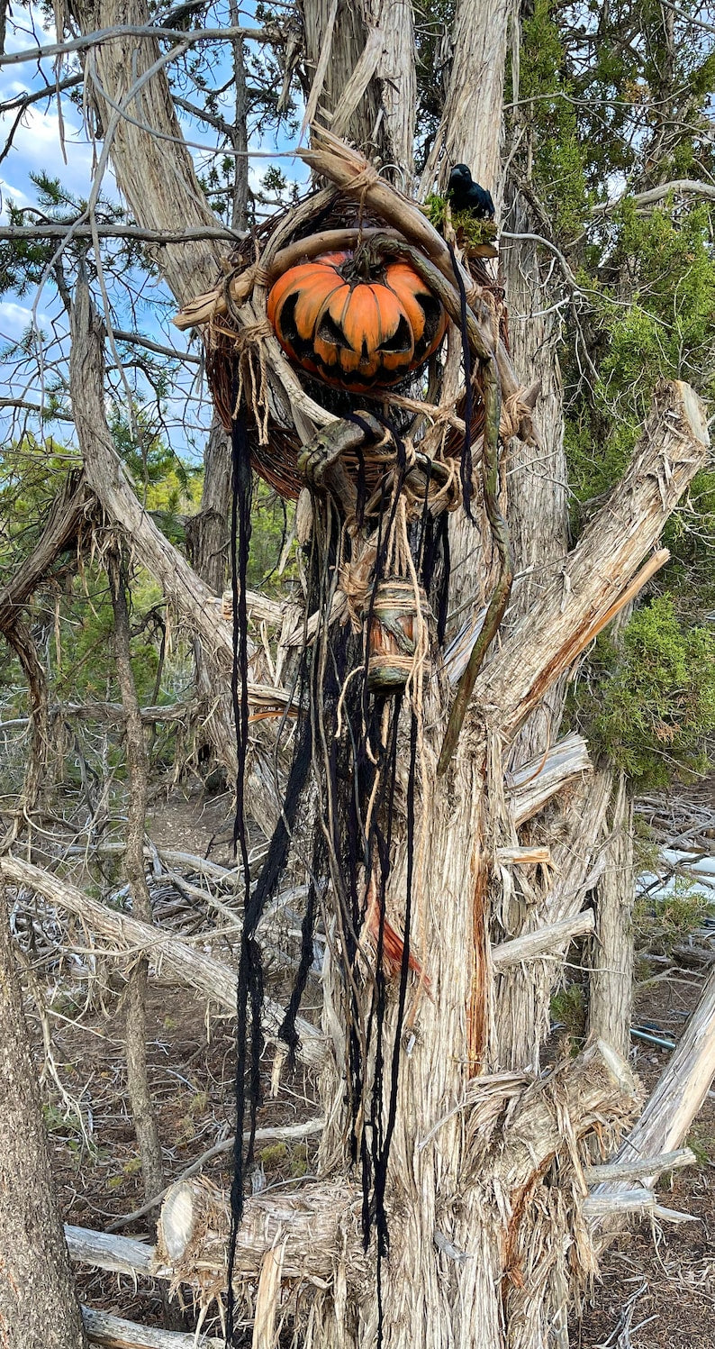 Swamp Rot Pumpkin Wreath