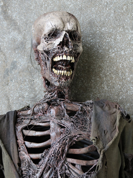Aged Skeleton